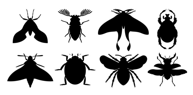 Insect Icon Flat Isolated Black Silhouette vector.