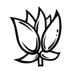 flower hand drawn illustration