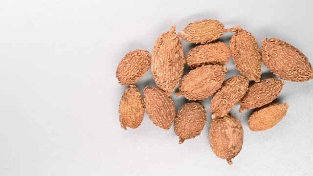 top pan herb ShaRen or Amomi Fructus or Villous Amomum Fruit