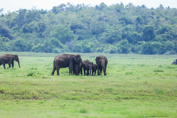 Quality nature photos
