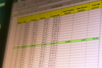 Shot of an excel sheet on computer screen showing bank loan amortization table. Accounting