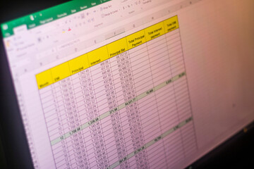 Shot of an excel sheet on computer screen showing bank loan amortization table. Accounting