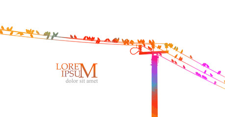 Multicolored Birds on wires. Vector illustration