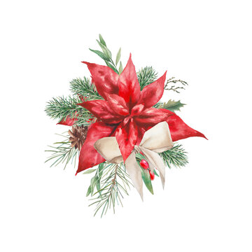 Watercolor Christmas card. Poinsettia, fir, green leaves and ribbon bow isolated on white background