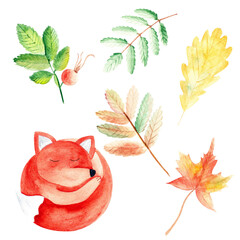 Autumn picture in watercolor. Leaves. Fox. 