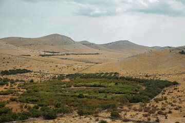 landscape in the mountains