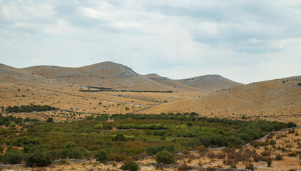 landscape with mountains