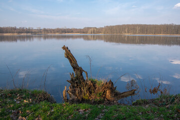 Winter natural scenery with breeding pond and trees near Neratov in Czech republic, reflections in the water, blue sky