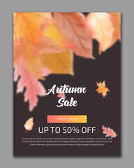 Autumn watercolor sale banner