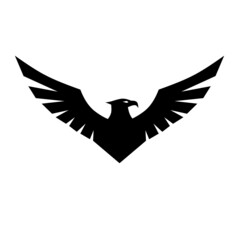 Eagle hunting. Eagle with negative space on white background. Vector illustration.