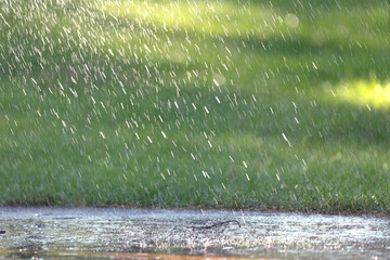 Raindrops fall on the asphalt and green grass.
