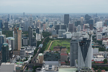 Megapolis with skyscrapers against the gray sky