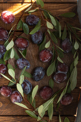 Ripe plums on a wooden cutting board, among green leaves and twigs