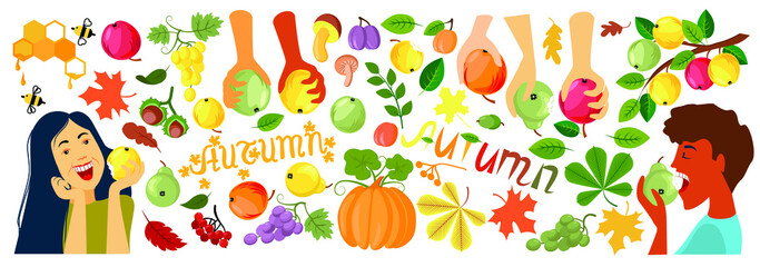 Autumn Harvest. Happy People Eat Apples. Fall. Set of autumn delicacies on a white background. Pear, grape, plum, peach, chestnut, acorn, pumpkin, mushroom, rowan, maple, leaves vector illustration.