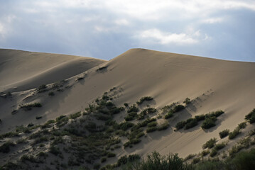 Fototapeta na wymiar The largest sand dune in Europe (Russia, Dagestan Republic, Sarykoum barkhan) 