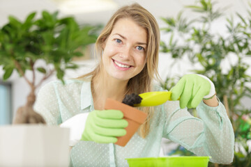 woman caring of her small kitchen garden at home