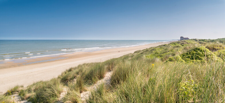 Paysage des dunes de flandres