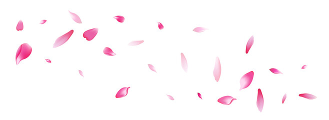 Pastel Rose Petal Vector White Background. Purple