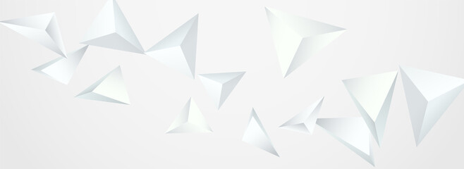 Transparent Triangle Dynamic Vector Panoramic