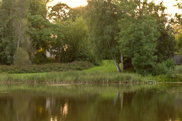 Summer evening landscape