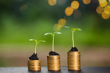 A small tree grows on a pile of coins with a rising appearance. including fertile soil on a blurred background nature bokeh business concept and environment - obrazy, fototapety, plakaty