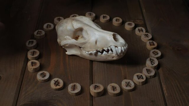 A man puts a dog's skull in a circle of runes
