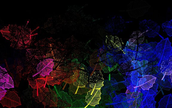 Dark Multicolor vector doodle layout with leaves.