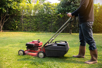 Fototapeta premium Garden work on the care of the lawn. A man mows the lawn using an electric pushing lawn mower..