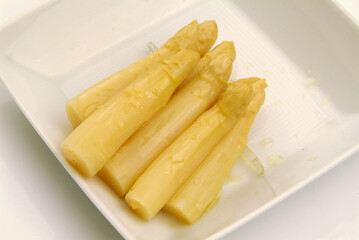 Fuente de espárragos de Navarraen conserva