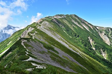 Naklejka premium 船越ノ頭から見た小蓮華岳に続く稜線（北アルプス白馬連峰）