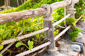 Closeup of old wooden fence covered with cloth ropes and green vegetation.