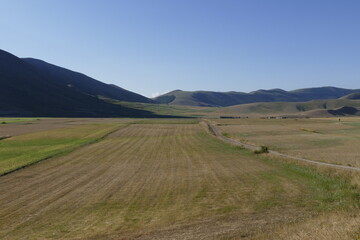 fioritura alle piane di castelluccio