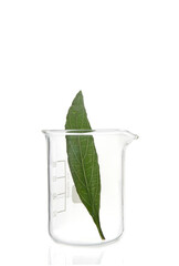 Beaker with medicinal herbs isolated on white with clipping path.	