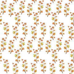 a beautiful pattern of autumn maple branches on a white background.