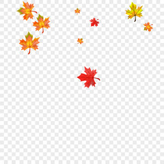 Green Foliage Background Transparent Vector. Leaf Down Texture. Brown Isolated Floral. Ground Leaves Frame.