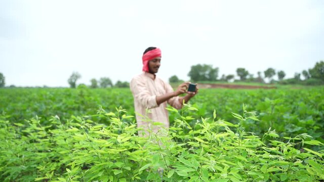 Young indian farmer using smartphone at agriculture field.