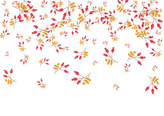 Pink Herb Background White Vector. Leaves