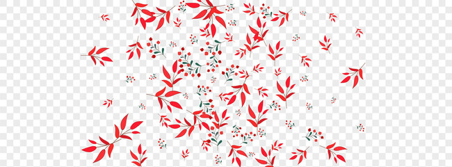 Fototapeta na wymiar Red Leaf Background Transparent Vector. Berries Vibrant Illustration. Pink Herb. Burgundy Rowan Decorative. Symbol Card.