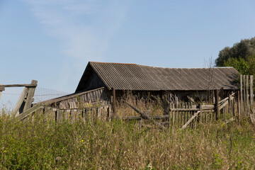 old wooden abandoned village house. summer, green grass and trees.