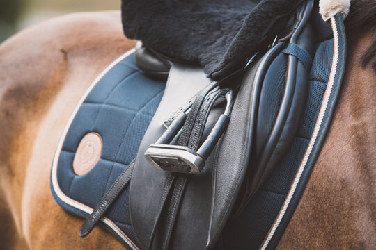 Sattel / Reitsport