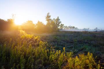 prairie in dense mist and sunlight at the early morning, summer countryside sunrise scene
