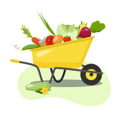 A yellow wheelbarrow with a harvest. Seasonal farm vegetables.