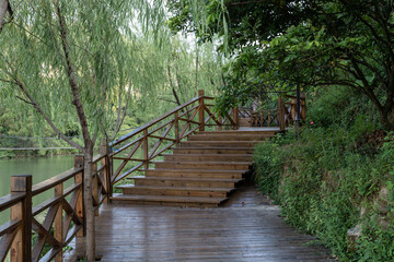 Fototapeta premium The plank road in the country park is lined with green trees