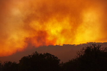 Forest wildfire at night from a distance, with silhouettes of trees against dramatic red sky and heavy smoke