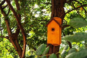 Birdhouse on a tree trunk. A bird house located in the forest. Summer season. Copy space