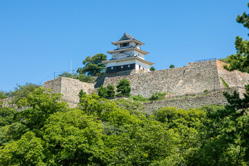 青空の香川県丸亀城