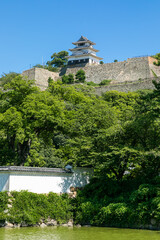 Fototapeta na wymiar 青空の香川県丸亀城