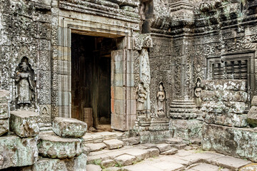 Fototapeta na wymiar old ruins of Ta Prohm temple in Angkor Wat, Cambodia 