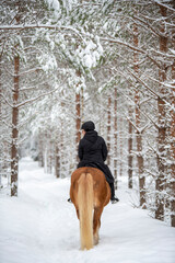 Woman horseback riding in winter in forest