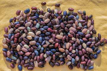 Colored beans on a wooden background